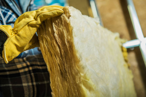 Best Spray Foam Insulation in Medpolis, IA