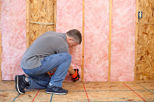Best Cellulose Insulation in Medpolis, IA