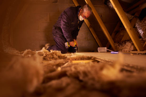Best Geographic-Specific Insulation Services in Medpolis, IA